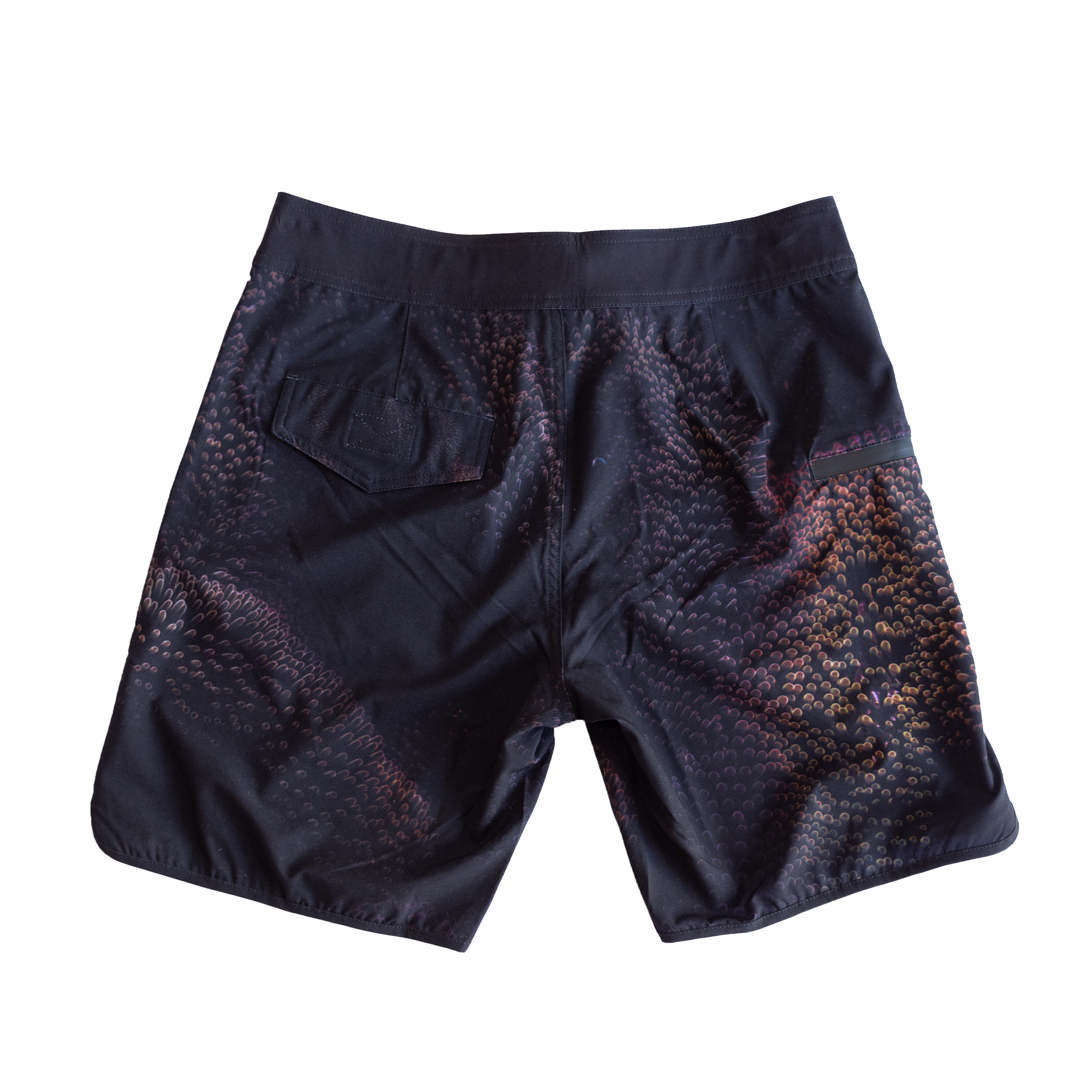 Anemona - Boardshort