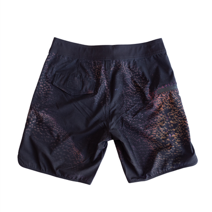 Anemona - Boardshort