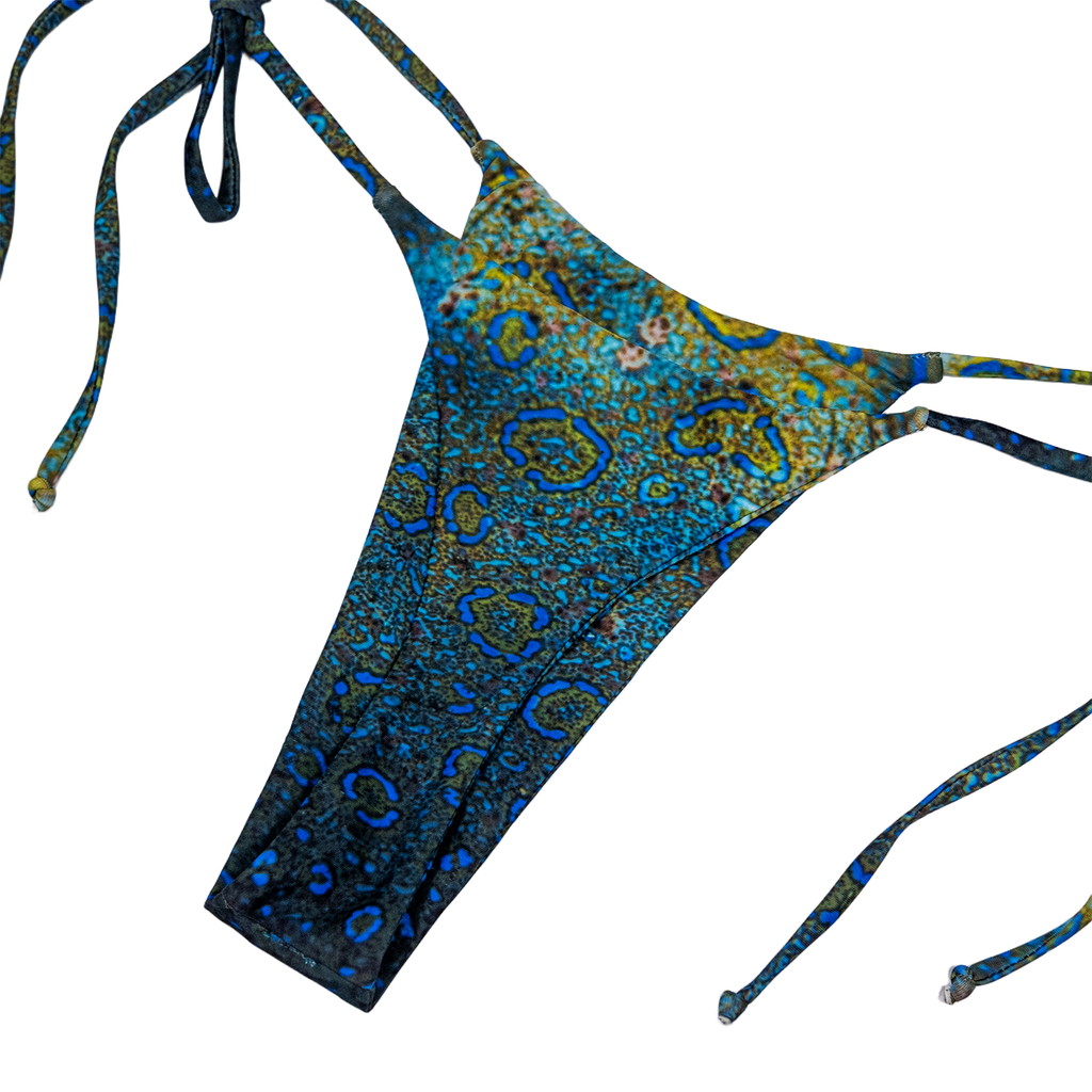 Bikini - Lenguado