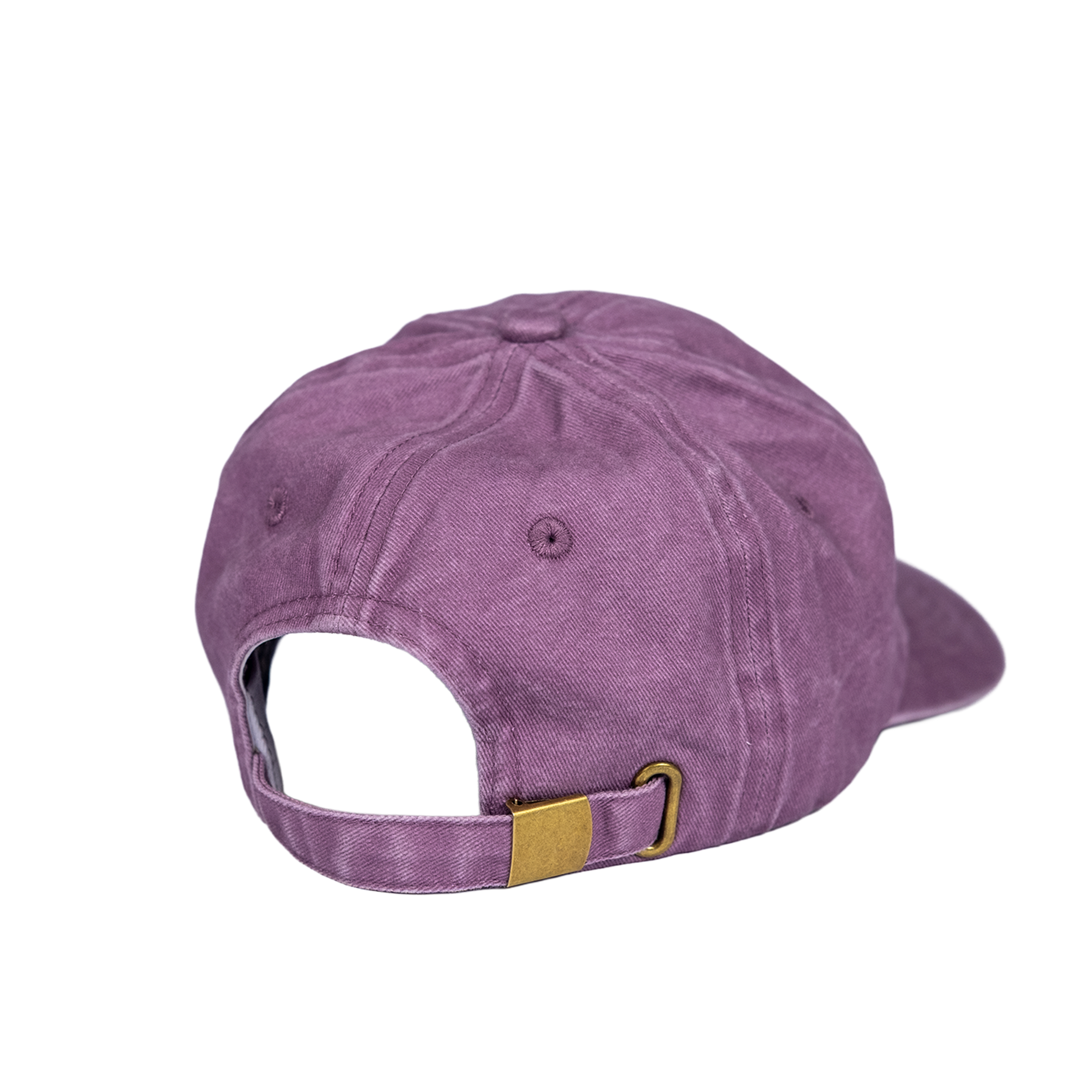 Gecko - Dad hat