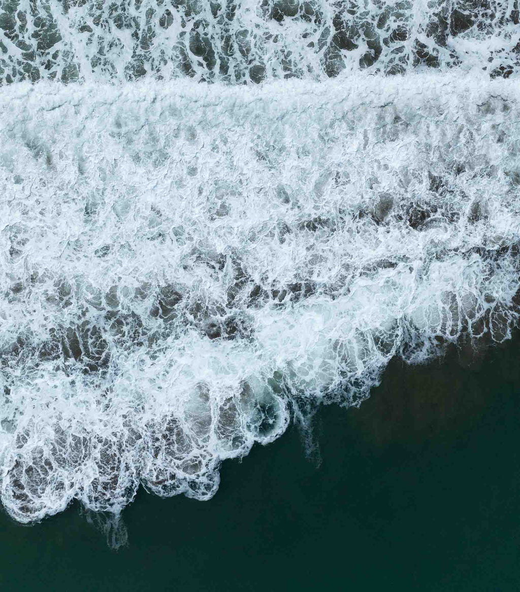 Playa Negra - Boardshort