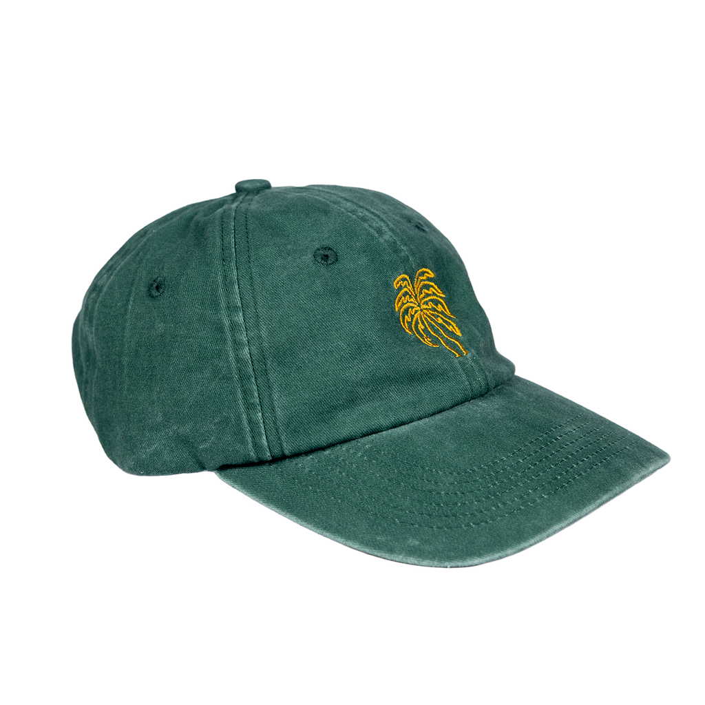 Palma - Dad hat