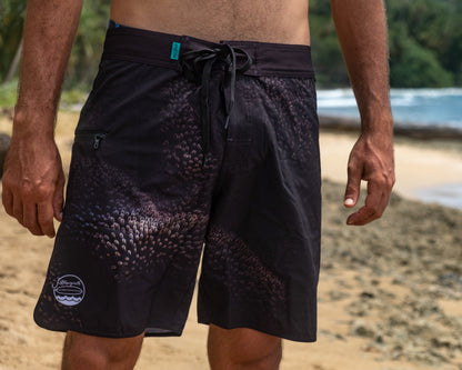 Anemona - Boardshort
