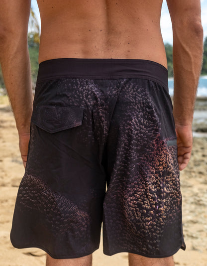 Anemona - Boardshort